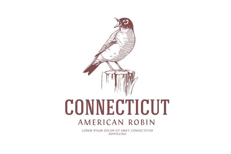 美国罗宾复古鸟标志LOGO模板American Robin Vintage