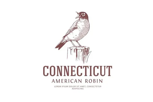美国罗宾复古鸟标志LOGO模板American Robin Vintage