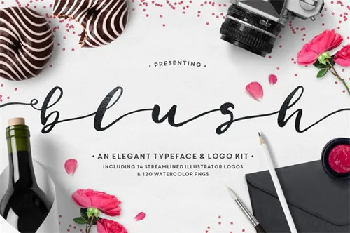 狂草的字体效果 Blush Typeface  Logo Kit