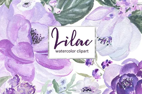 淡紫色水彩剪贴画 Lilac Soft purple wat