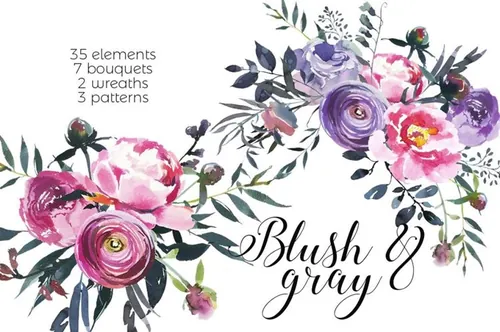 腮红和灰色水彩花卉插画 Blush  Gray Waterc