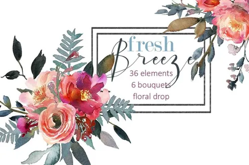 桃色牡丹水彩剪贴画 Peach Peonies Waterc