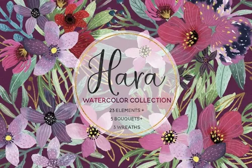 水彩花卉插画合集 Hara Watercolor Colle