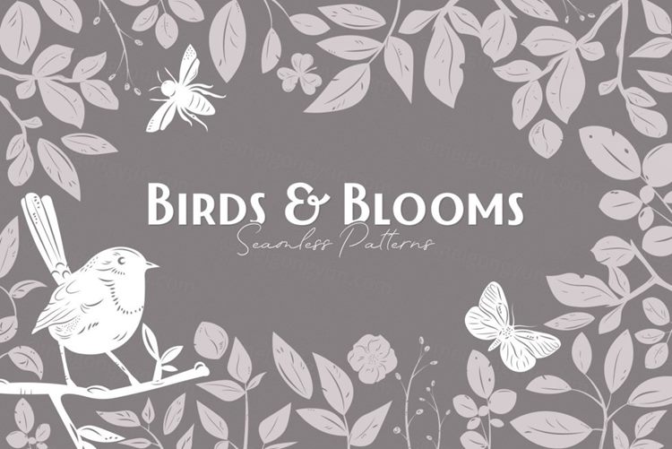 鸟类和花朵矢量图形套装 Birds  Blooms Grap
