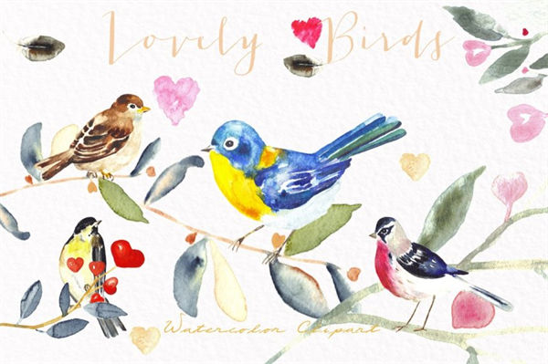 可爱的水彩彩色小鸟素材 Lovely birds.Watercolor