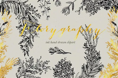 植物油墨书法素材 Calligraphy ink clipart. Florygraphy