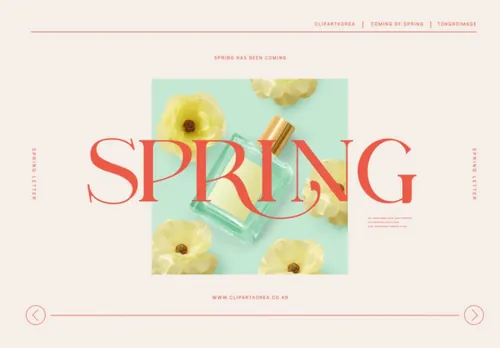 春季浪漫的粉色欧美英文版式购物促销高端女装海报PSD模板