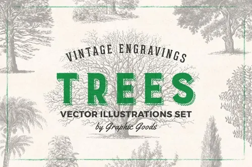 复古树木杨柏核桃橡木等森林树木雕刻插画素材 Trees -