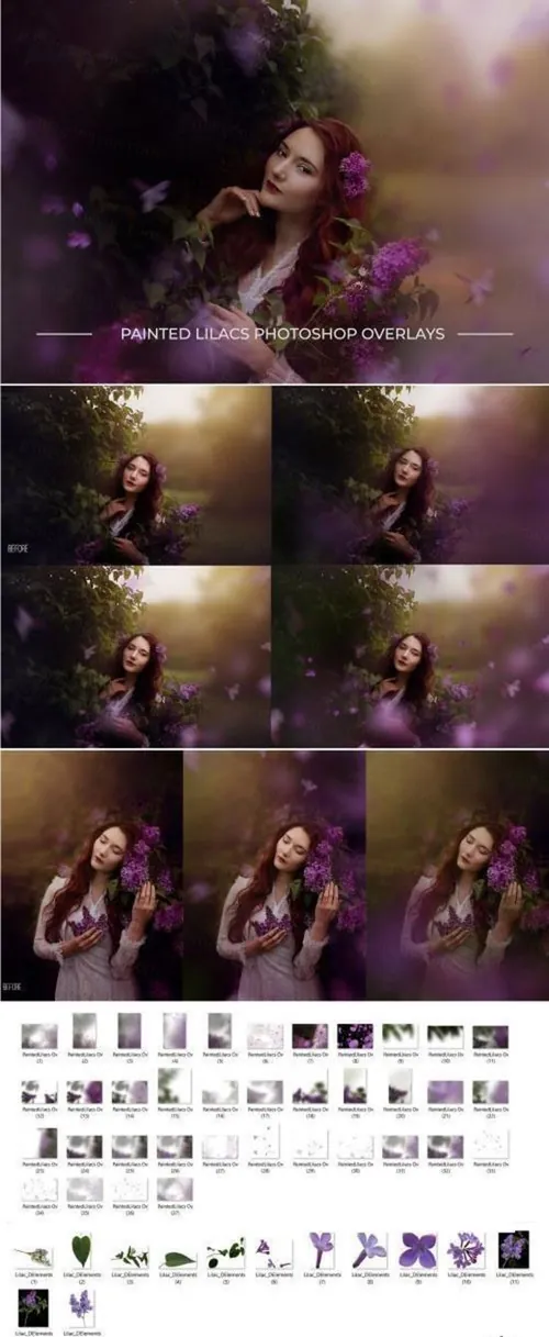 高品质丁香花PS叠加背景素材Painted Lilacs Photoshop Overlays