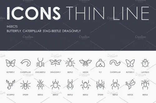 昆虫矢量图标大全 Insects thinline icons