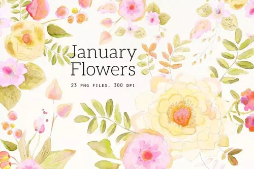 手绘水彩花卉剪贴画 January Flowers