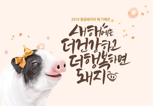 年金猪贺喜主题海报PSD模版素材 ti302a12410