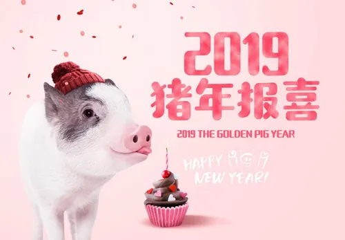 年金猪贺喜主题海报PSD模版素材 ti302a12411