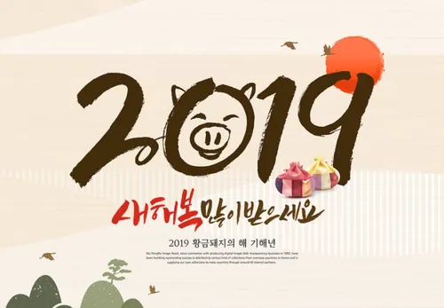 年金猪贺喜主题海报PSD模版素材 ti302a12412