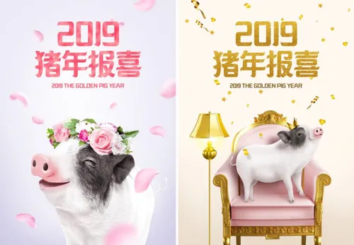 年金猪贺喜主题海报PSD模版素材