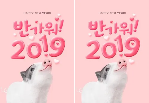 年金猪贺喜主题海报PSD模版素材