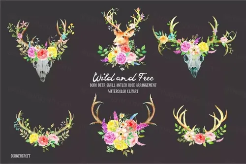 鹿与玫瑰水彩剪贴画 Watercolor Deer and
