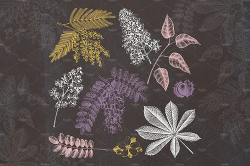 春季树木矢量插画素材 Vector Spring Trees