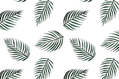 手绘植物无缝背景Seamless vector palm tree print
