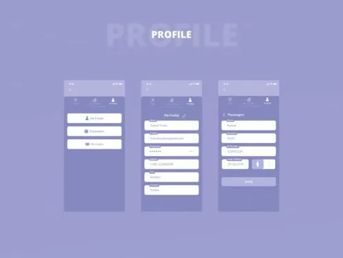 航班在线机票设计界面Rapido Flight Online Tick