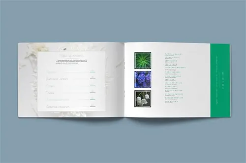 横版画册排版模板 Floral Brochure