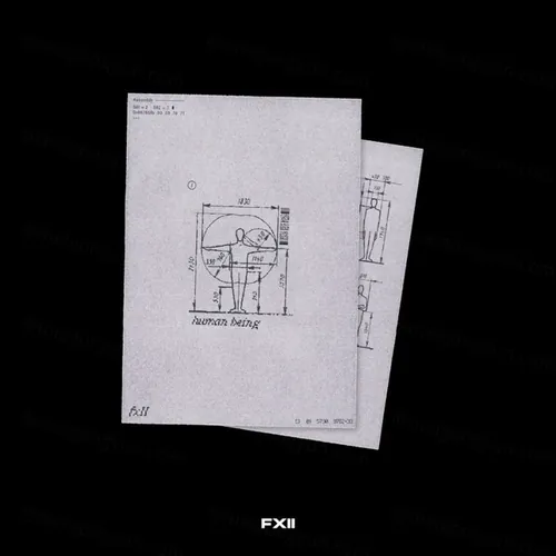 珍贵人体学结构研究手稿PNG免抠图 fxll - human