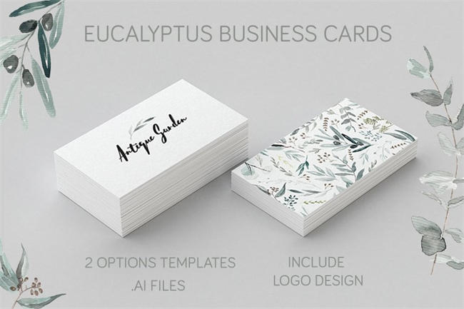 桉树文艺简约风名片矢量模版 Eucalyptus Business Card Template