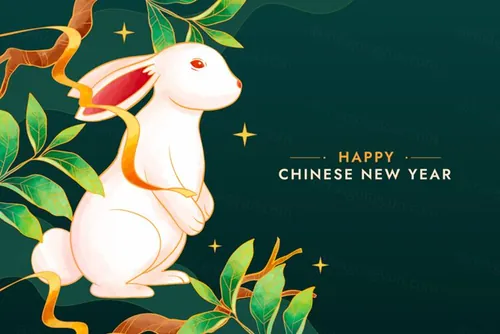 2023年中国新年生肖兔年东方传统节日促销宣传海报招贴EPS