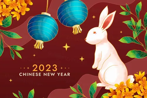 2023年中国新年生肖兔年东方传统节日促销宣传海报招贴EPS