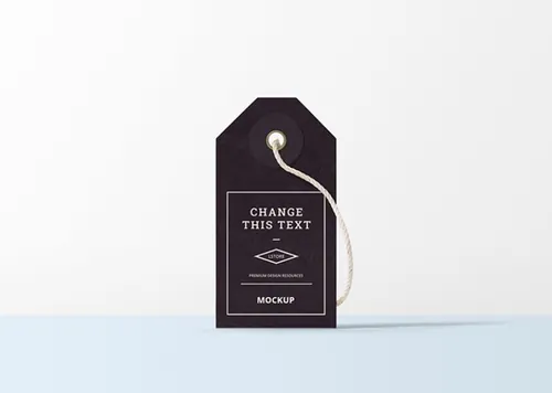 一款黑色卡纸T型烫银吊牌展示样机