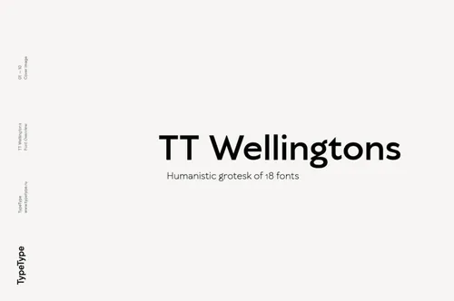 英国人文主义现代几何怪诞英文无衬线字体 TypeType - TT Wellingtons