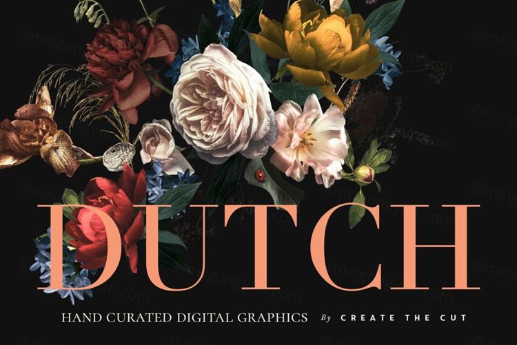 荷兰花卉数字花艺剪贴画素材合辑 Vintage Floral