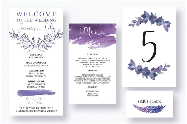 神话手绘水彩紫色羽毛婚礼设计套件 Mythical-Feathers-Wedding-Suite