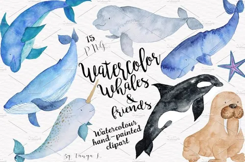 鲸鱼和海洋动物水彩插画 Watercolor Whales