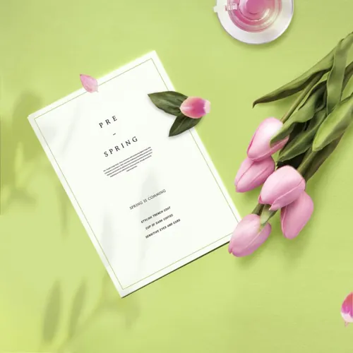 春天新颖简约大气植物海报设计PSD模板素材