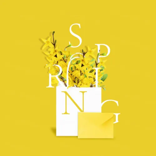 春天新颖简约大气植物海报设计PSD模板素材