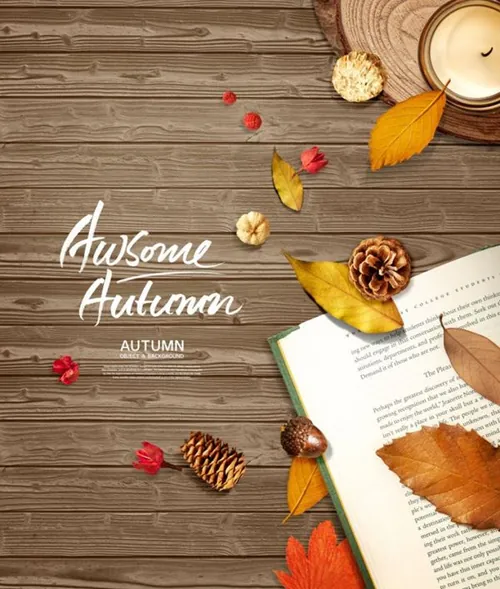 秋天元素amp;amp;木纹背景海报图片psd素材