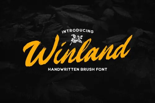 笔刷手写英文字体 Winland - Brush Font
