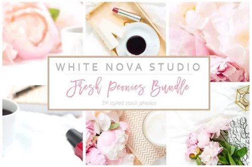 春季牡丹花装饰场景背景高清照片素材 Fresh Peonie