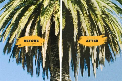 将照片变成绘画 From Photo to Draw