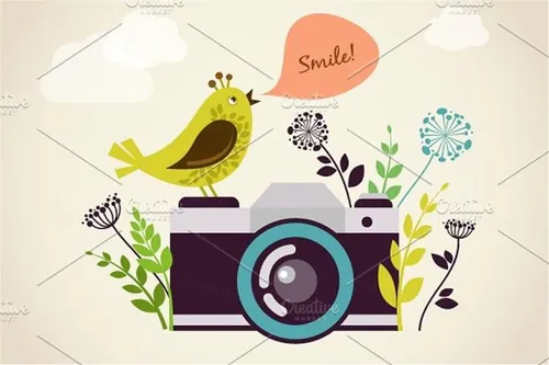 老式相机矢量插图Vintage camera-amp; bird