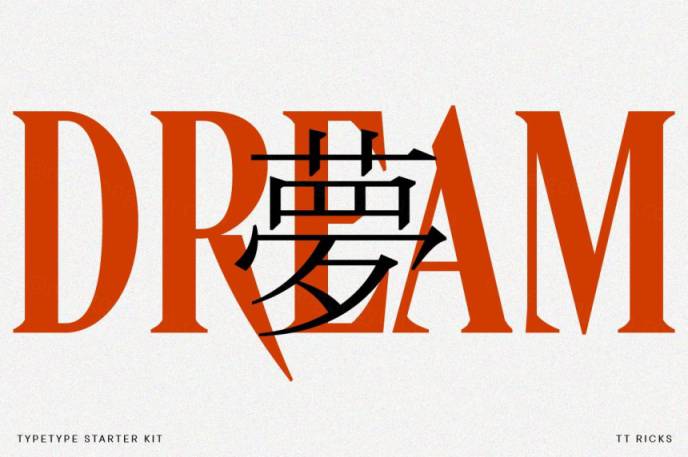 包装品牌设计书籍海报排版英文衬线字体 TypeType - TT Ricks