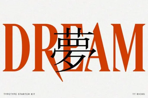 包装品牌设计书籍海报排版英文衬线字体 TypeType - TT Ricks