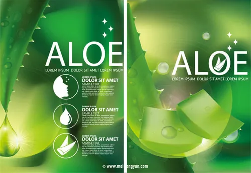 芦荟保湿精华化妆品Ai矢量广告海报Aloe Moisture Essence