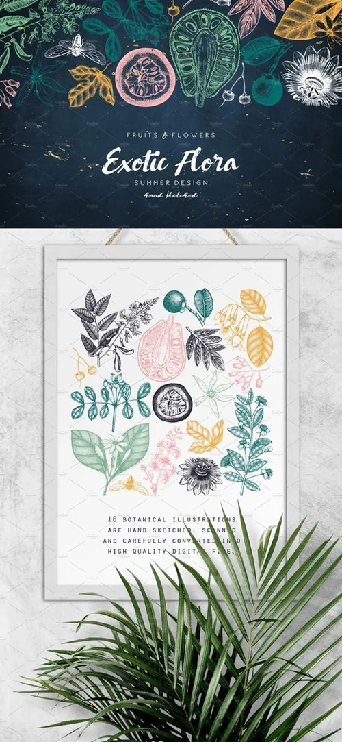 夏季热带植物花卉手绘雕刻素描插画素材合集包 Exotic P