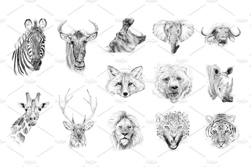 Portrait of wild animaldrawn by hand