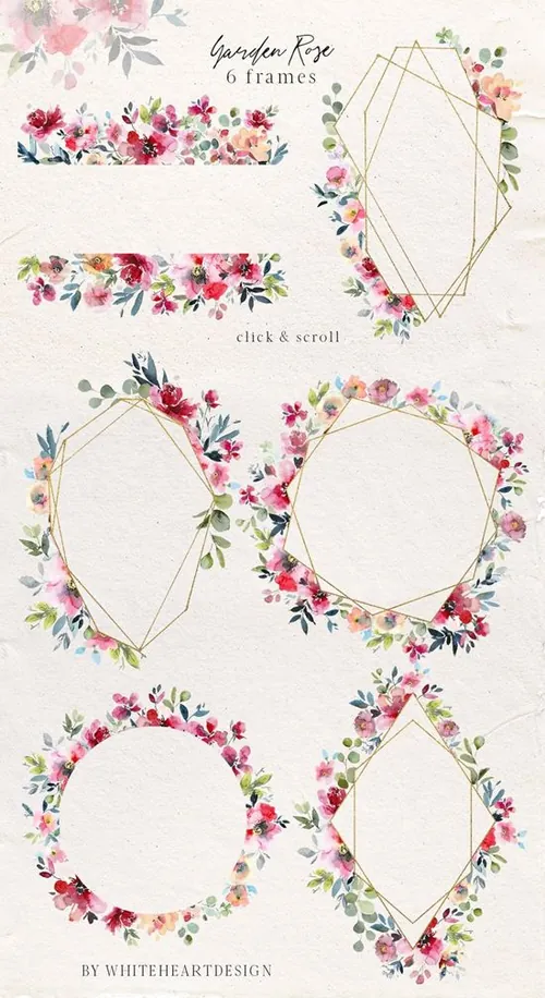 手绘水彩花卉植物设计素材 Garden-Rose-Water