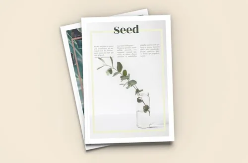 干净的杂志ID模版 Seed - A4 Magazine Template