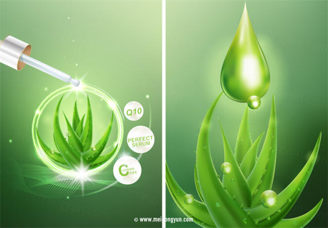 芦荟保湿精华化妆品Ai矢量广告海报Aloe Moisture Essence