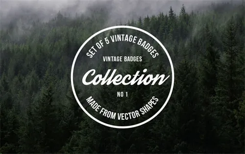 复古优雅的徽章LOGO标志模板合集包 Vintage Logo Badges Collection